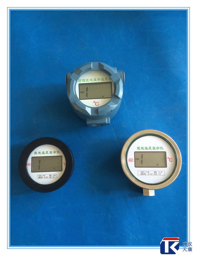 無(wú)源數(shù)顯溫度傳感器、無(wú)需外接電源、鋰電池供電